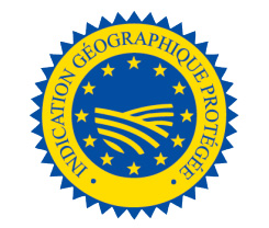logo IGP