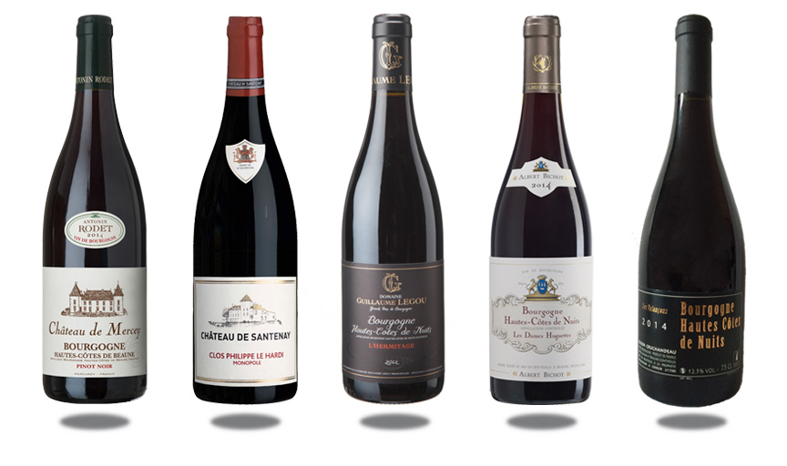 5 vins hautes-côtes de Nuits et de Beaune
