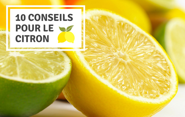 conseils pour le citron