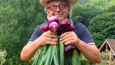 la Table du Gourmet - Riquewhir - Jean-Luc Brendel