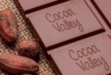 cocoa valley serges ngassy