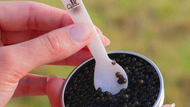 caviar perlita