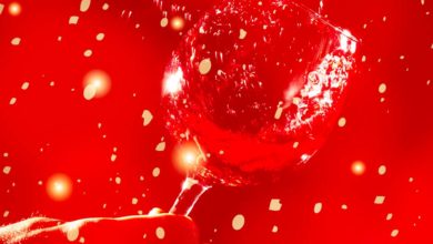 5 vins rouges Noël 2023