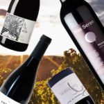 5 vins automne 2024