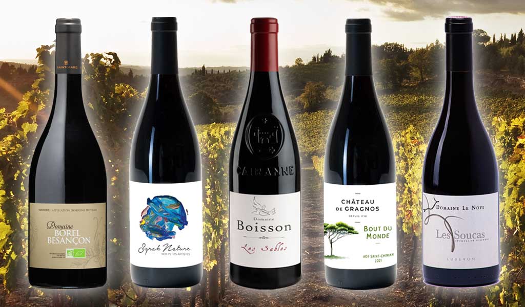 5 vins automne 