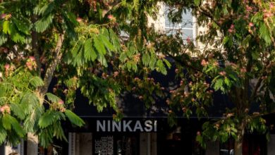 brasserie artisanale française Ninkasi