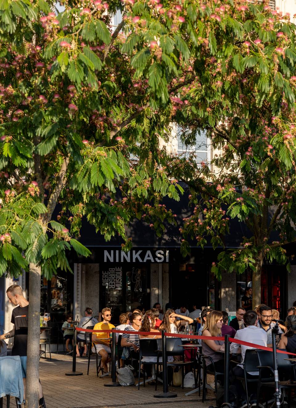brasserie artisanale française Ninkasi