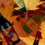 vins automne 2025