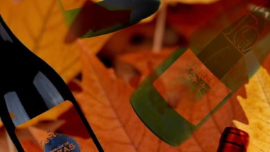 vins automne 2025