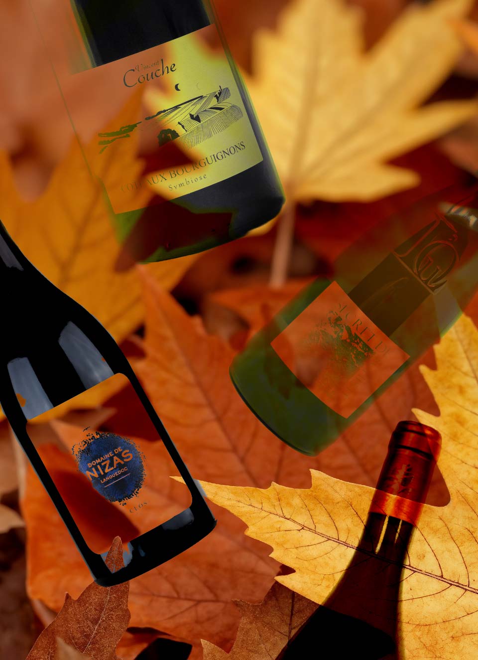 vins automne 2025
