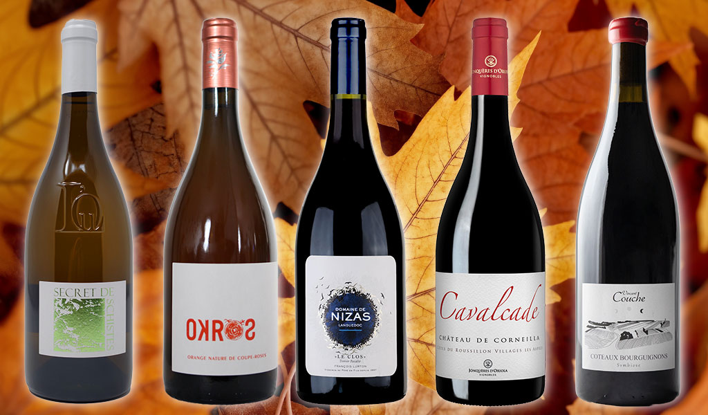 vins d'automne 2025