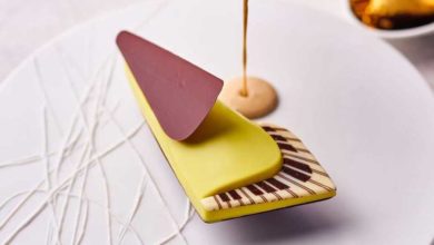 maison henriroux la pyramide vienne